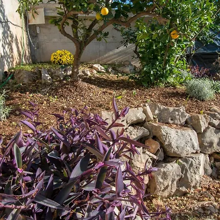 Villa Mira Trogir Exterior photo
