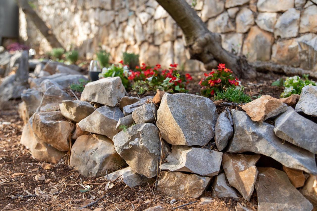 Mira Apartment Trogir