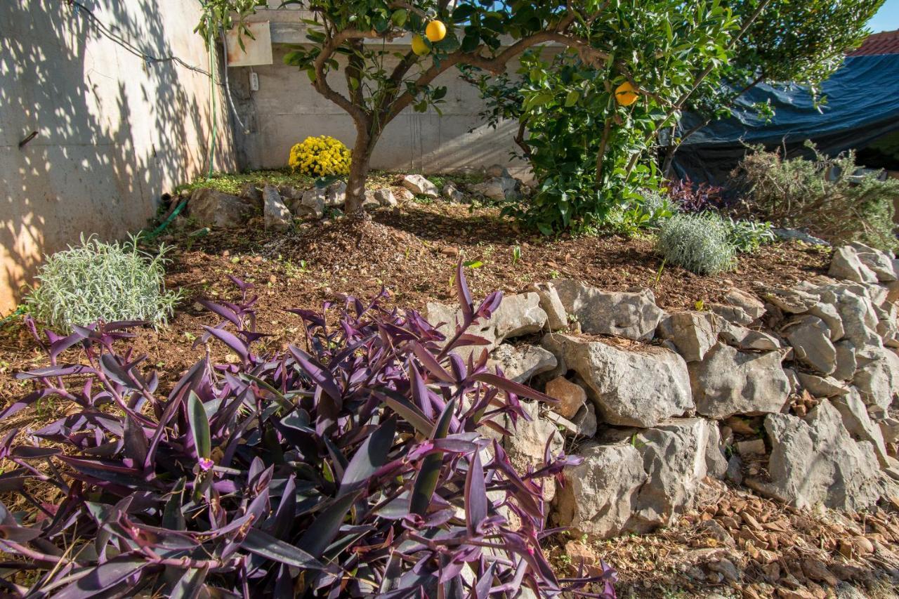 Mira Apartment Trogir
